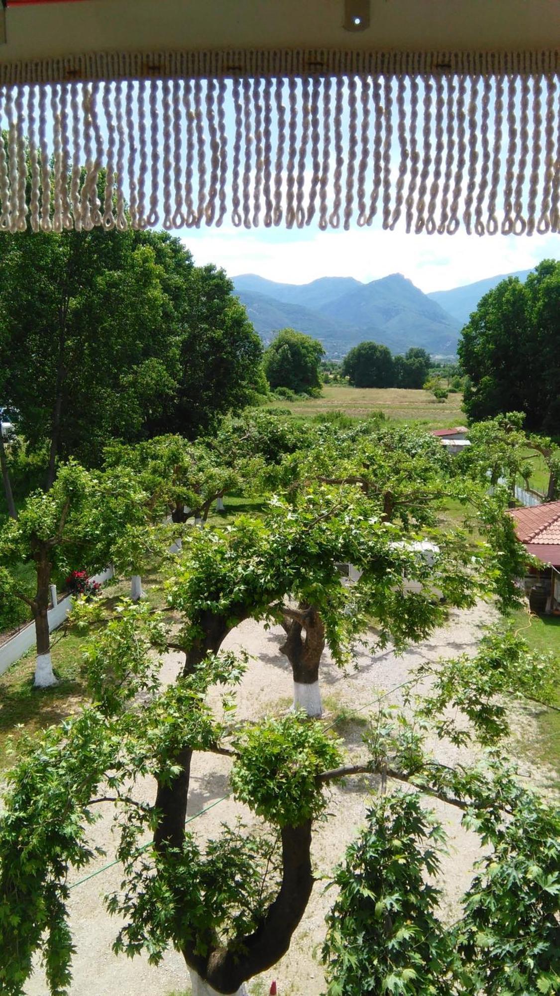 Hotel Lefkes Paralía Skotínis Cameră foto